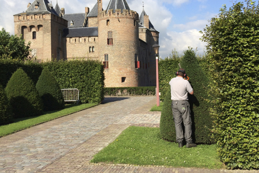 Groenbeheer tuinonderhoud snoeien